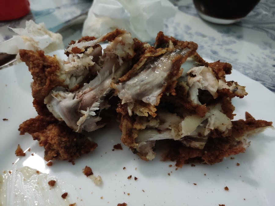 Asador de pollos Cubero