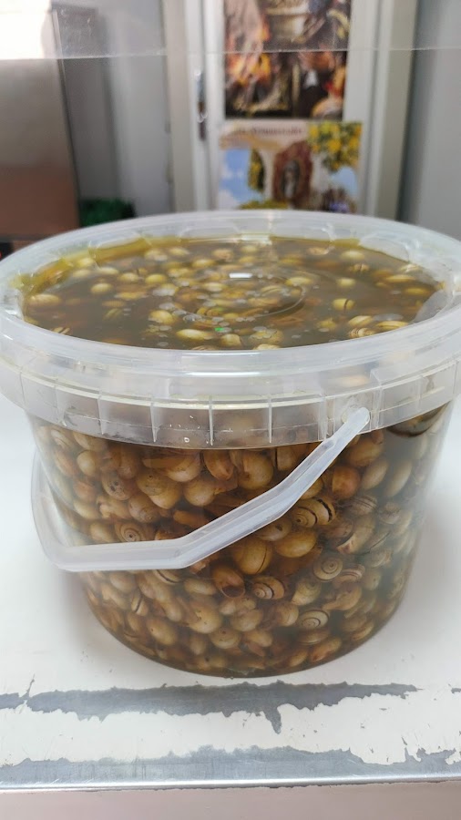 Caracoles El Empinao