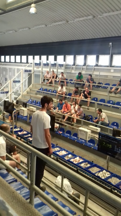 Lonja de Isla Cristina