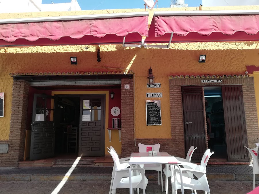 Restaurante Mesón Plumas