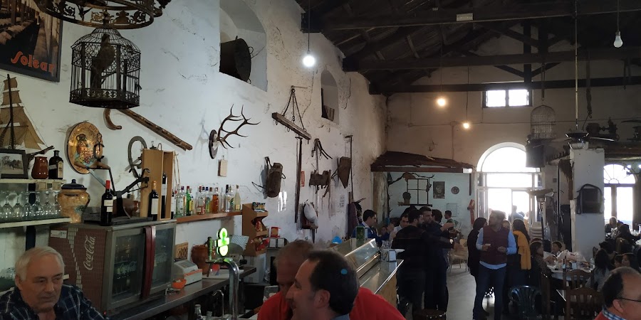 Bodega Aviate