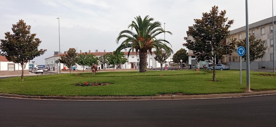 Cerro de Reyes