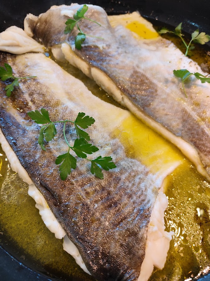 El Portugués Montijo